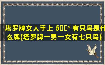 塔罗牌女人手上 💮 有只鸟是什么牌(塔罗牌一男一女有七只鸟)